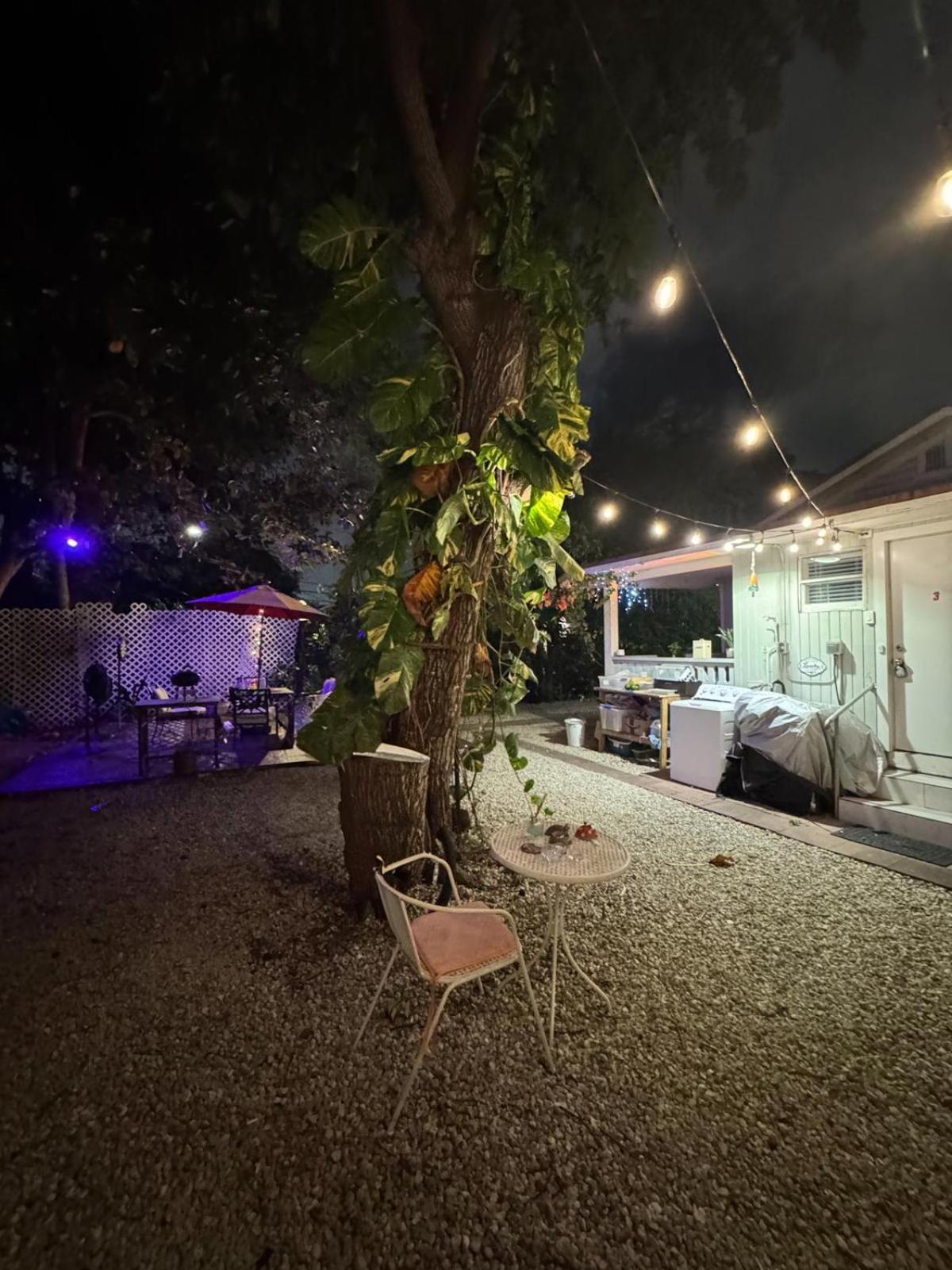 Deluxe Room In Best Location Miami In A 2 Bedrooms Unit - Parking, Laundry And Luggage Storage Luaran gambar